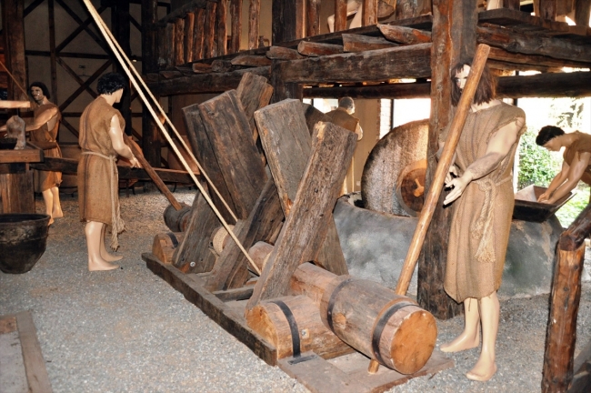 Emekli öğretmen çiftin zeytin merakı müzeye dönüştü